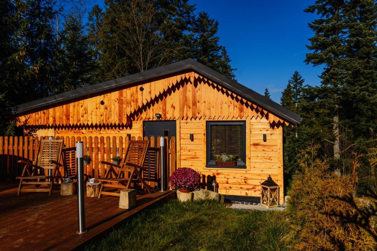 Domek Lesny Zakopane Exterior photo