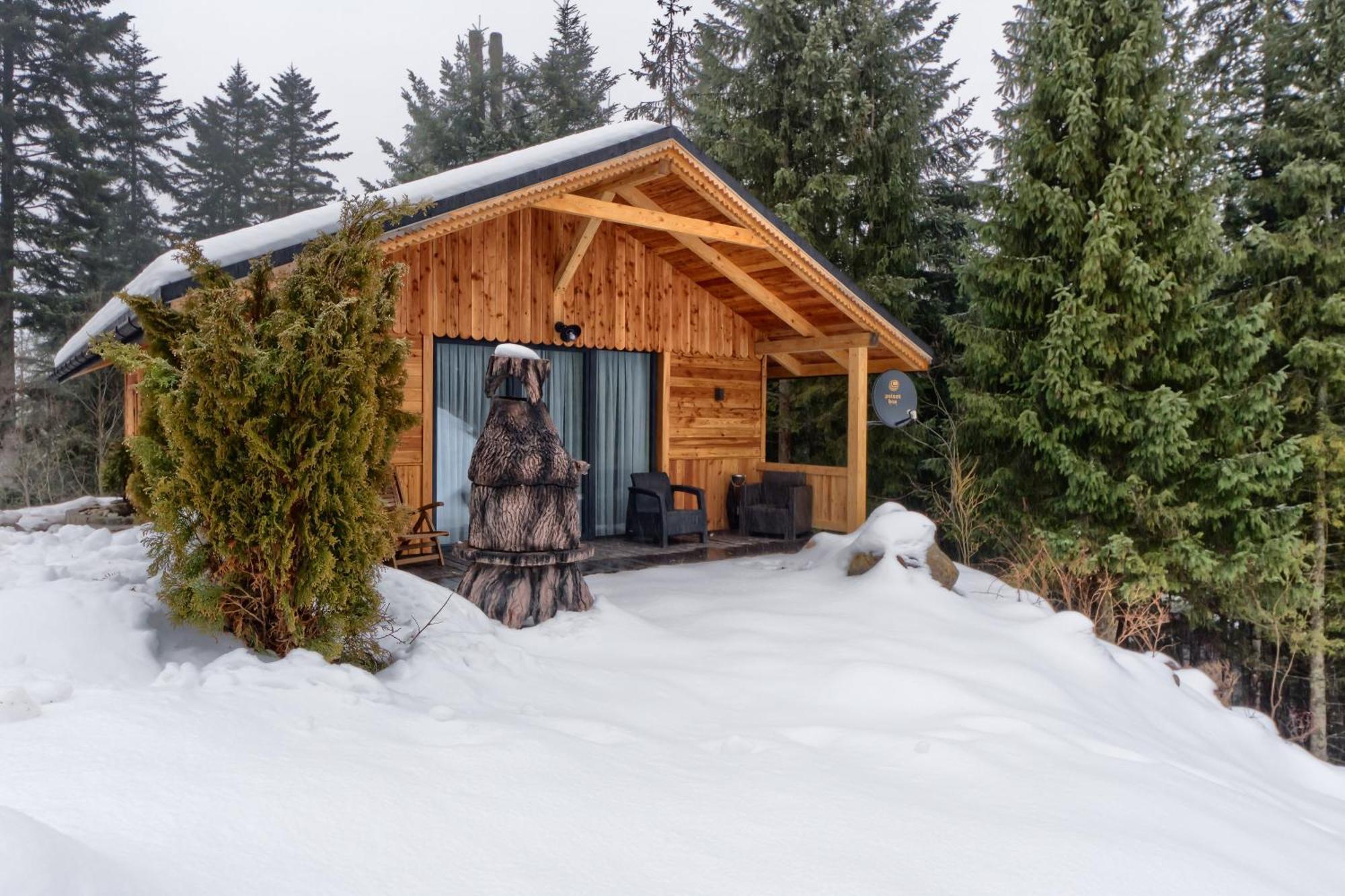 Domek Lesny Zakopane Exterior photo